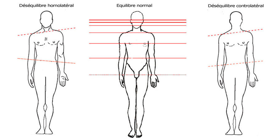dessin de postures